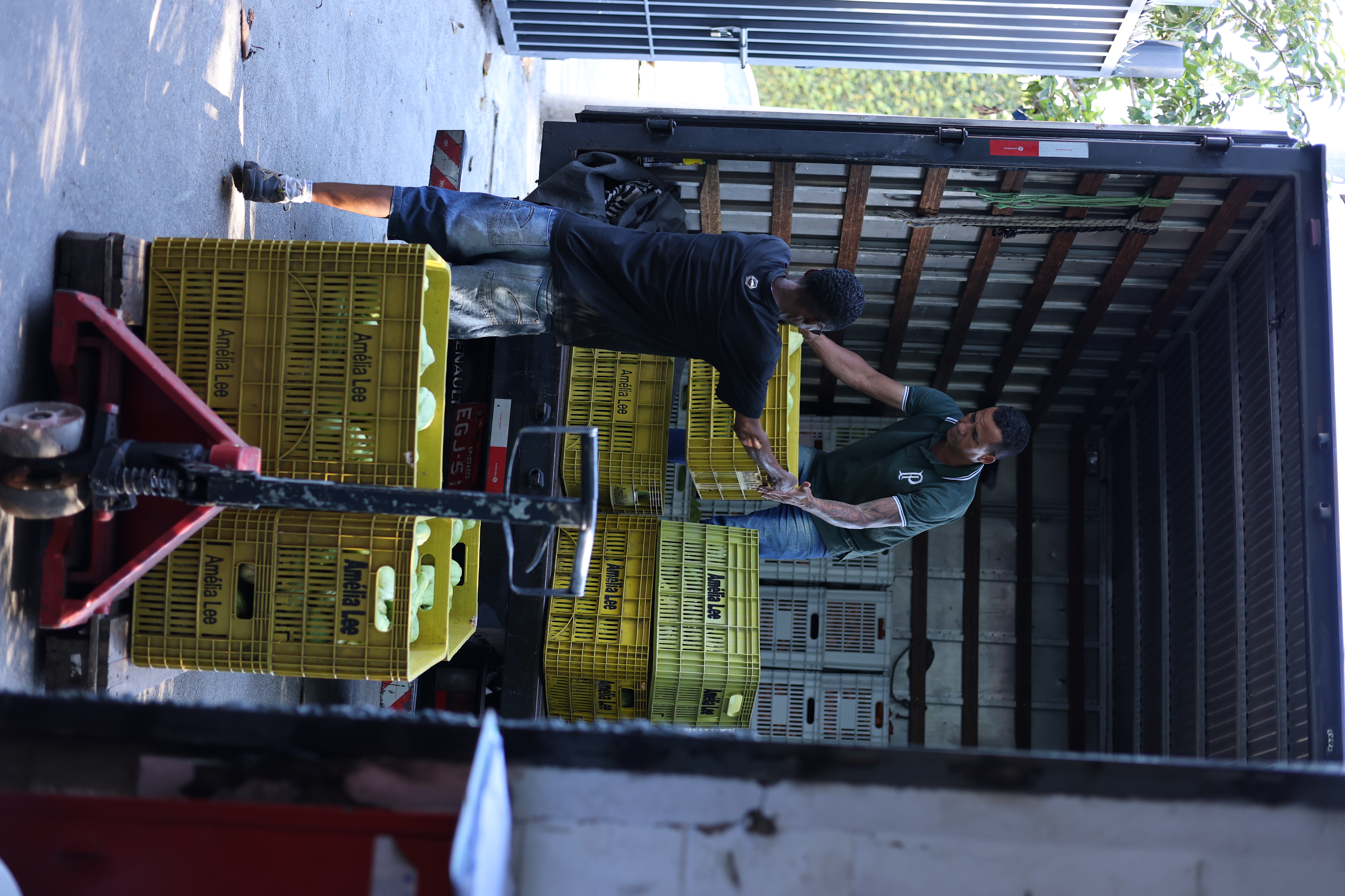 Voluntário despejando cenouras frescas em caixas no galpão do Instituto